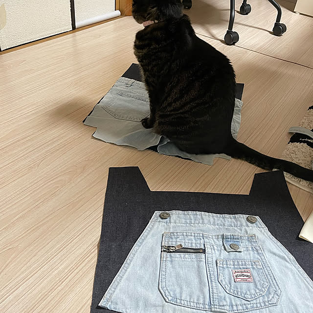 momocchiさんの部屋