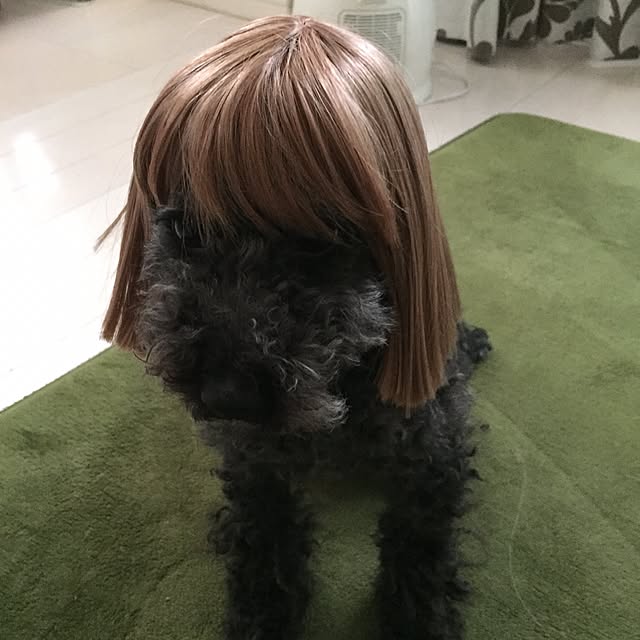 greenroseさんの実例写真