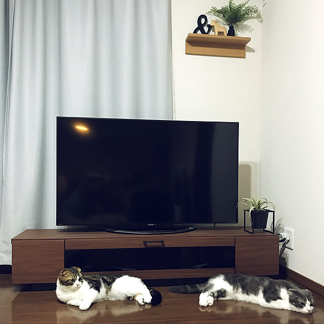 tansukeさんの実例写真