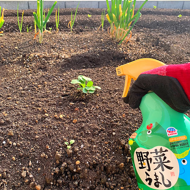 karenさんの実例写真