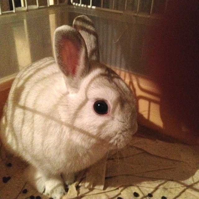 kimuさんの実例写真