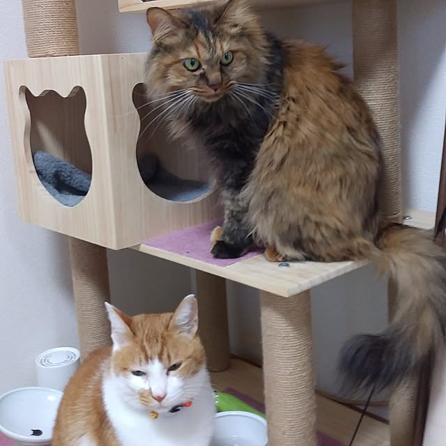 yumiさんの実例写真