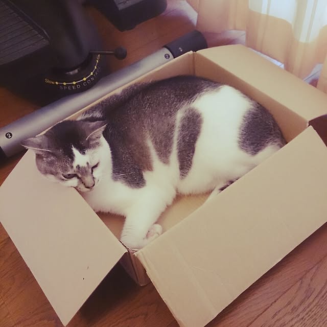furlaさんの実例写真