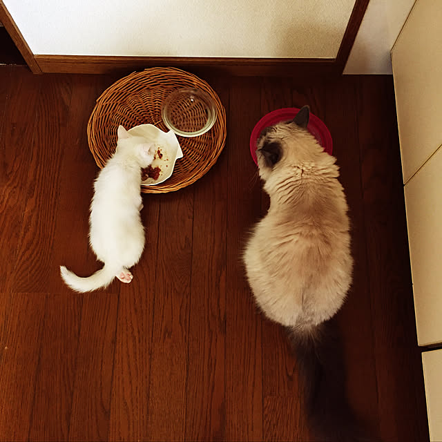 emergencyさんの実例写真
