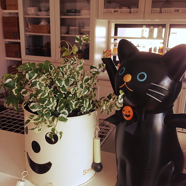 Kinanさんの実例写真