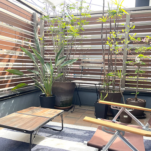 Takao316さんの部屋