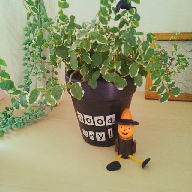 minさんの実例写真