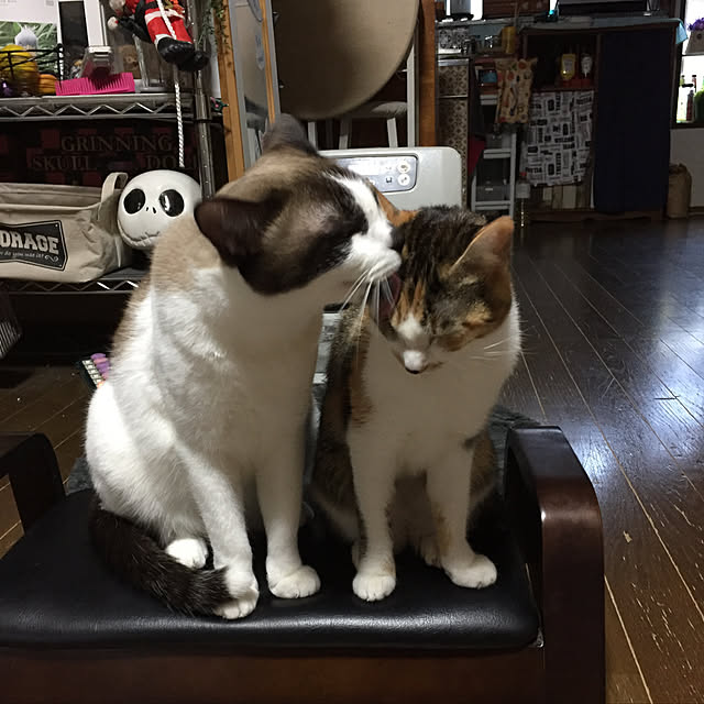 vivienne.coco-keiさんの実例写真