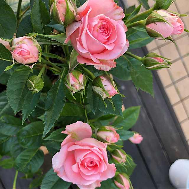 xiaohuai7788さんの実例写真