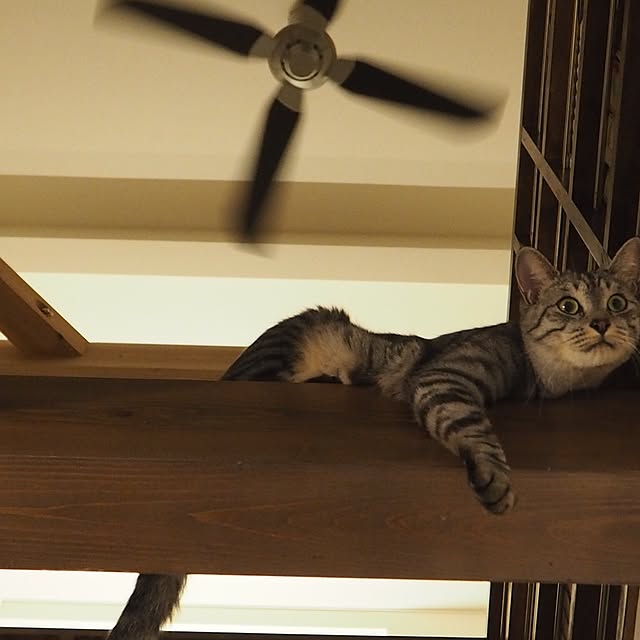 Haruさんの実例写真