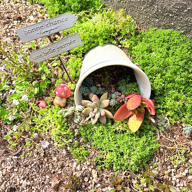 mayumiさんの実例写真