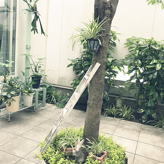 taguさんの実例写真