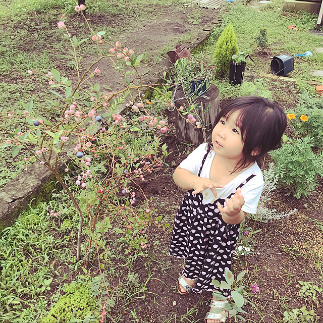 akubi28nさんの実例写真