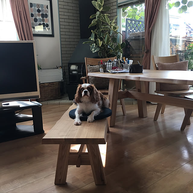 mog19590623さんの実例写真