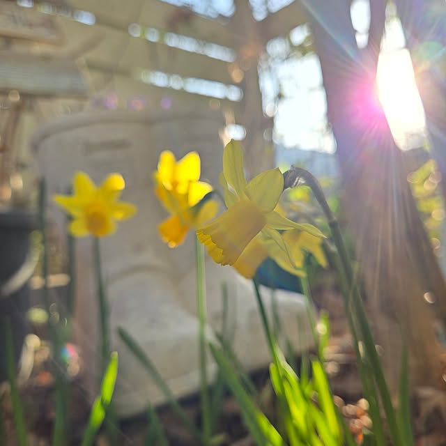 min_nimさんの部屋