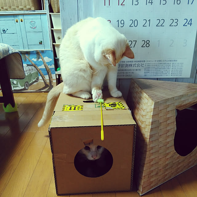 posauruさんの実例写真