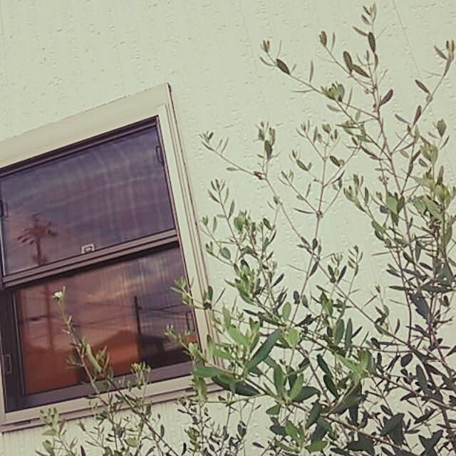 poemwalkさんの実例写真