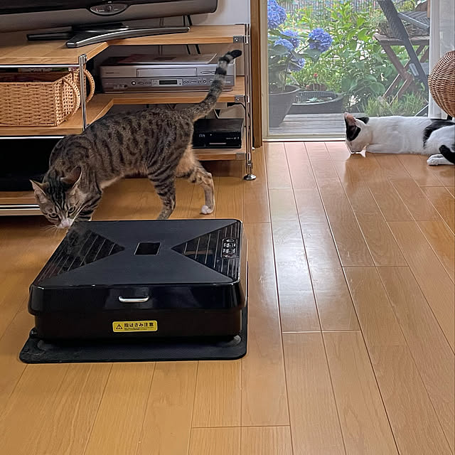 nobikoさんの実例写真