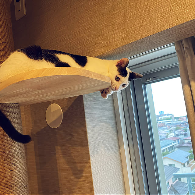 wakooさんの実例写真