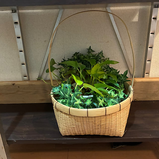 cagosukiさんの実例写真