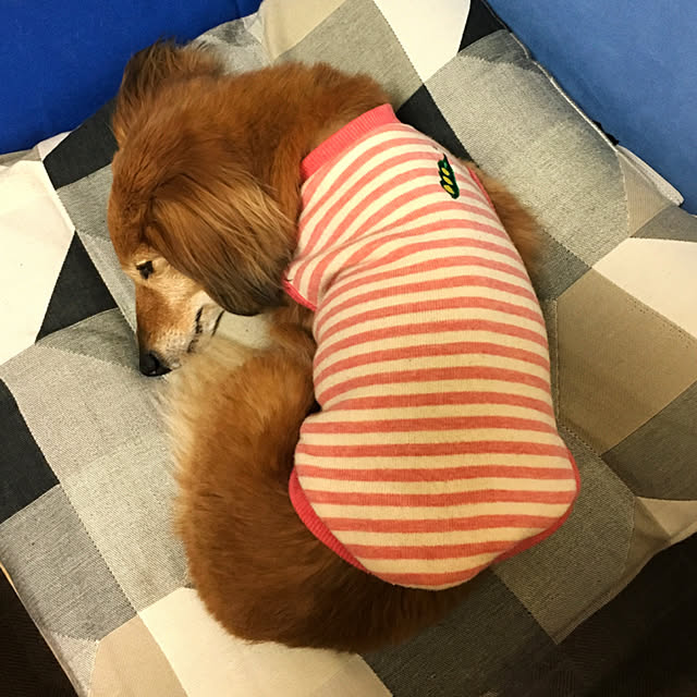 asako_geekさんの実例写真