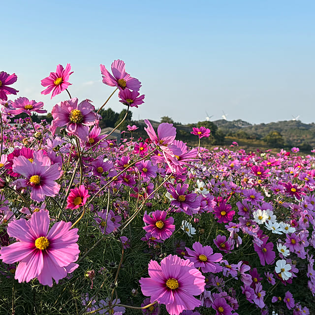 tututu0204さんの部屋
