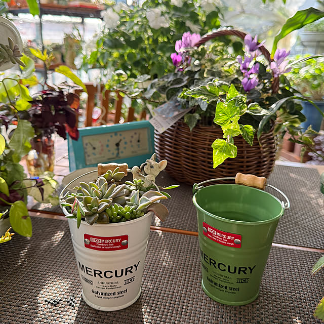 Aqettyさんの部屋