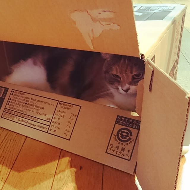 yukieさんの実例写真
