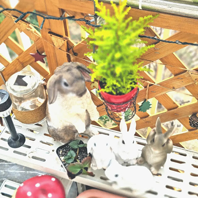 mariaさんの実例写真