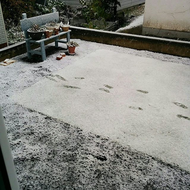 mametarouさんの実例写真