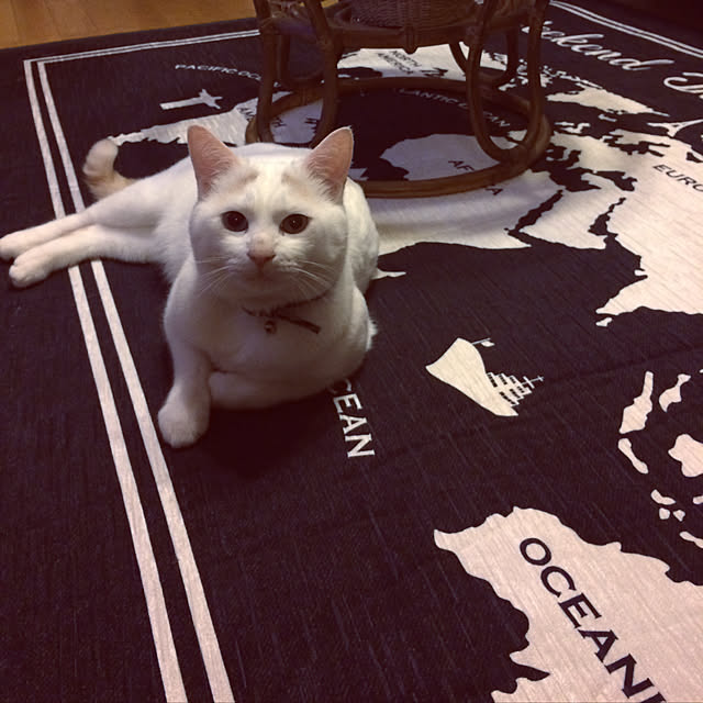 chocolatさんの実例写真