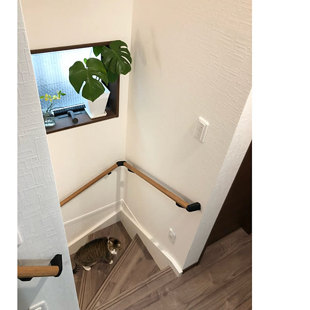 chacoさんの実例写真