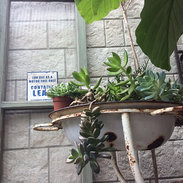 mamezoさんの実例写真