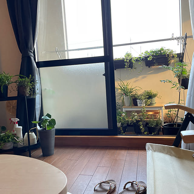 akoさんの実例写真
