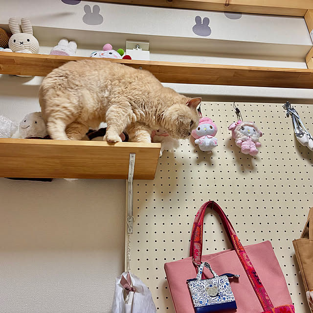 naokoさんの部屋