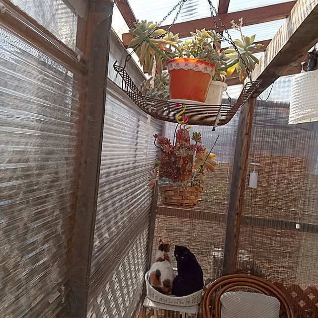 taleo07さんの実例写真