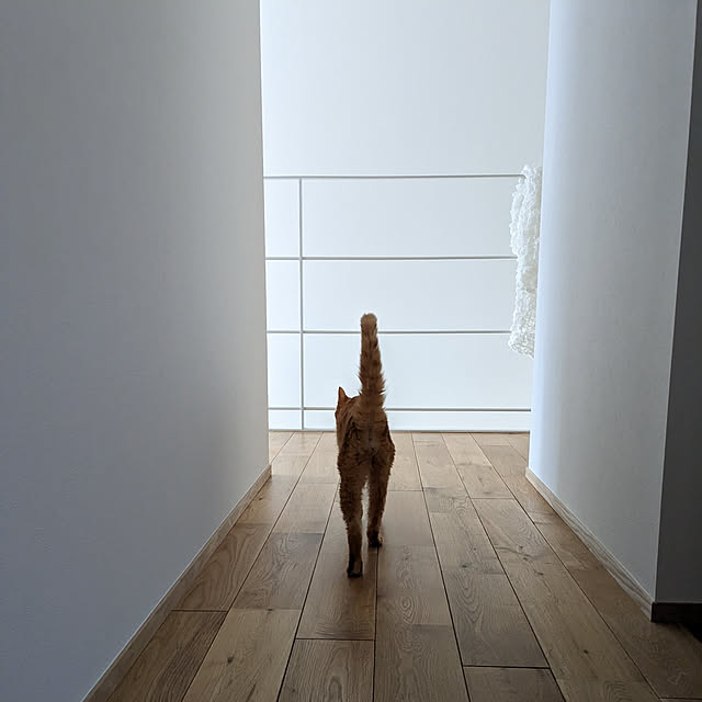 yukkyさんの実例写真