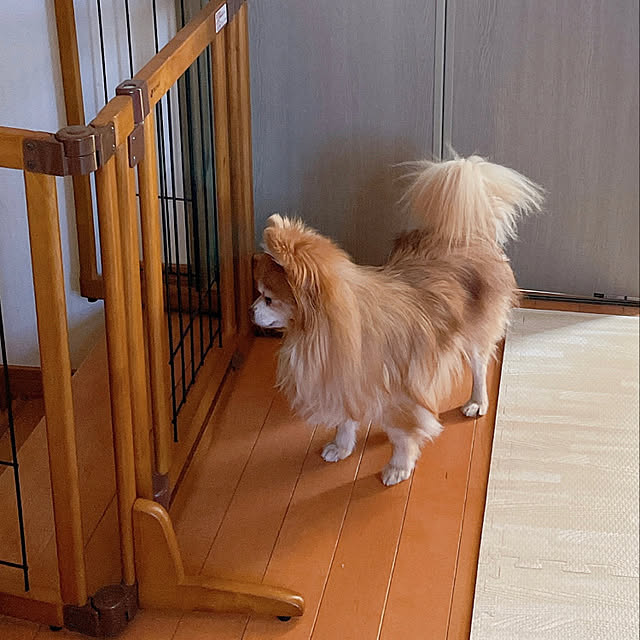 e-aiaiさんの実例写真