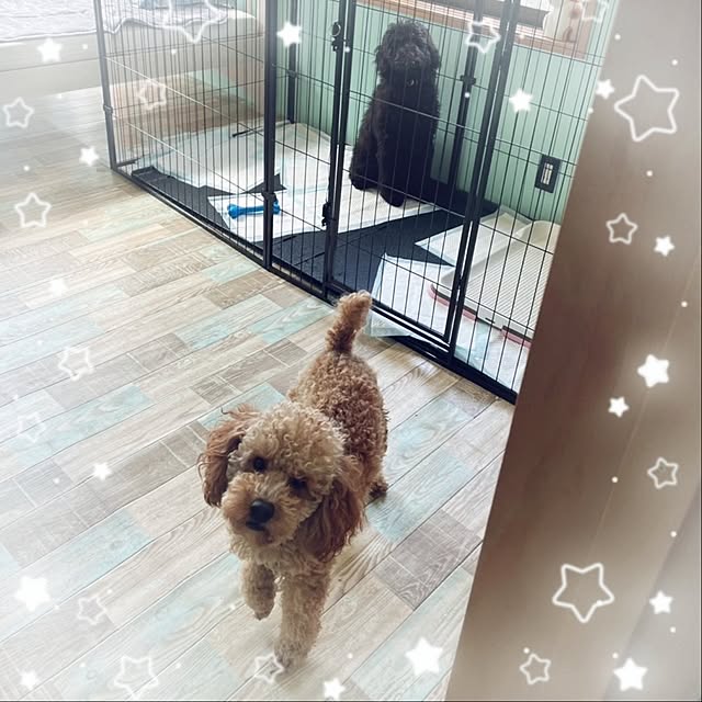 mimi828さんの部屋