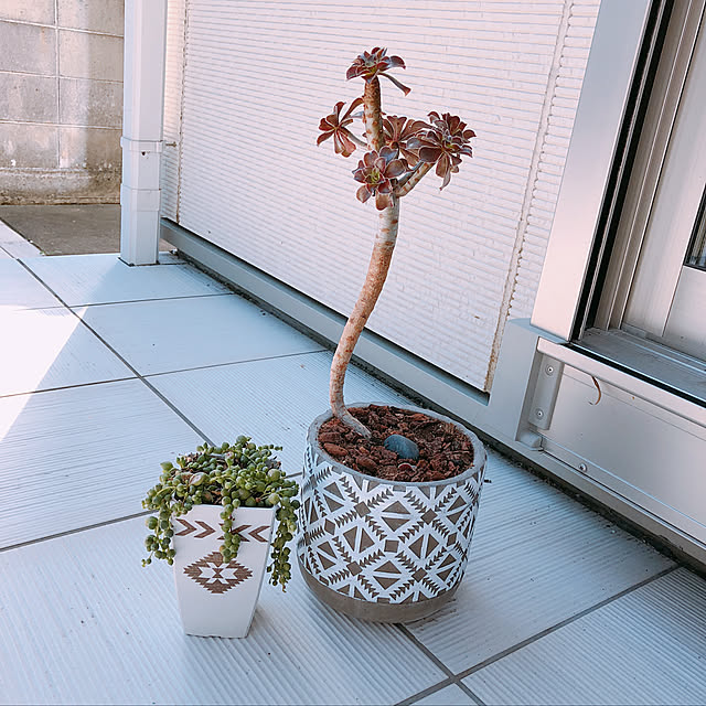craneさんの実例写真
