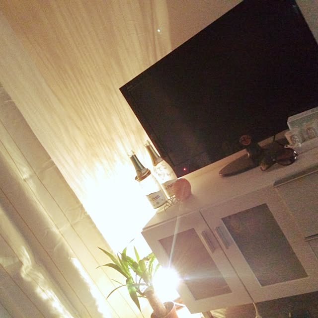 Rumiさんの実例写真