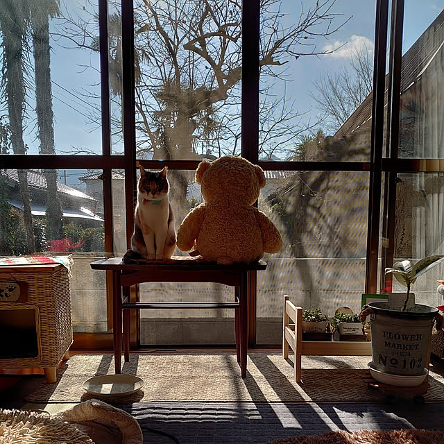 fukuさんの実例写真