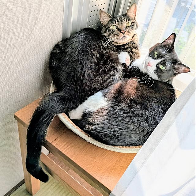 hihaさんの実例写真
