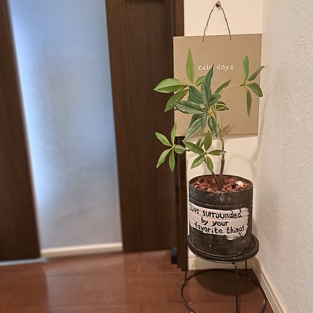 shinoさんの部屋
