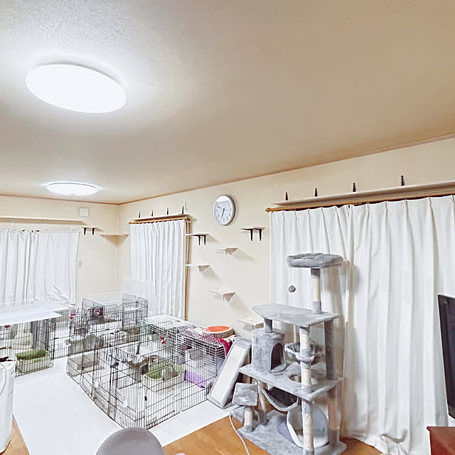 prelumoさんの部屋