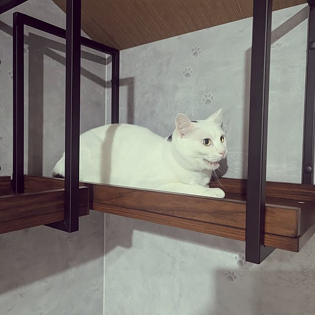 nekocatさんの部屋