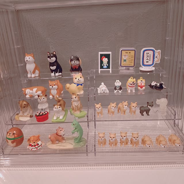 sakuraさんの部屋