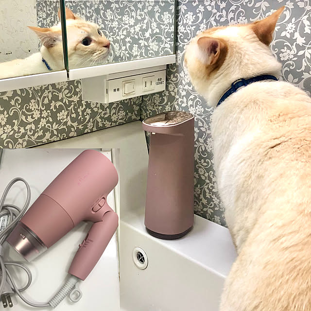 milkさんの実例写真