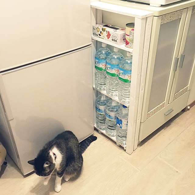 miruさんの実例写真