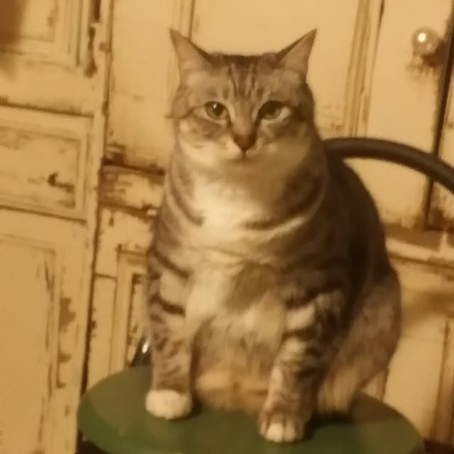 annさんの実例写真
